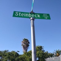 Tim Steinbeck