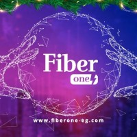 Fiber One System and Networks