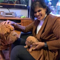 Chamarie Rambukkana