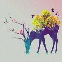 韩世成