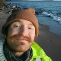 Dan Maurer
