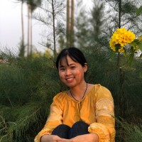 Thu Đinh