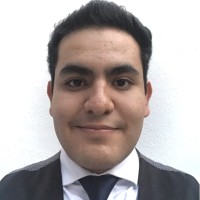 David Alejandro Cruz Flores