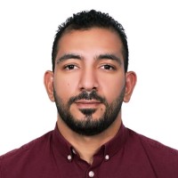 Ahmed Elmogy