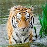 Naveed Sagar