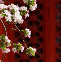 孙千钧