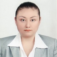 M.A. Fabiola Luna Velasco