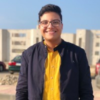 Mohammad Eladawy