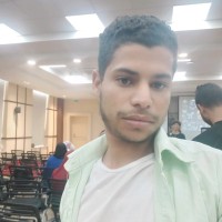 Mohamed Ibrahim