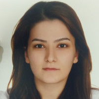 burcu kara