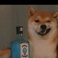 陈家斌