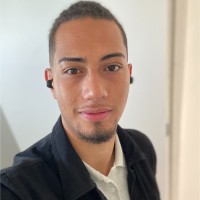 Pedro Henrique Moreira Da Silva