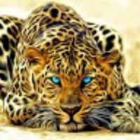 Aravind R