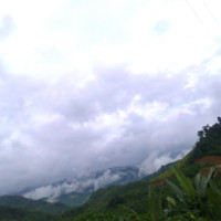 Home Green
