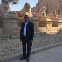 Ayman Moussa