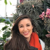 Elyse Vincenty