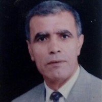 Hamid Azzouz