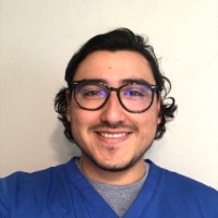 Kristopher Alexander Pena-Becerra Mba, Bsn, Rn