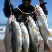 Gonzalo Mora Velayos