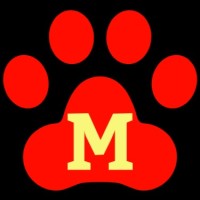 Reclutamiento masterinpets