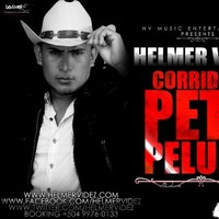 Helmer Videz