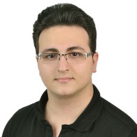 Arkın Bal