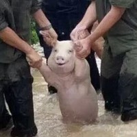 刘旭强
