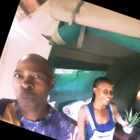 Sylvester Mbele
