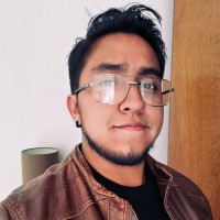 David Alejandro Silva Useche