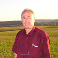 Ari Frieder