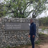 Dumiso Ndlovu