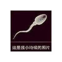 廖梓淇
