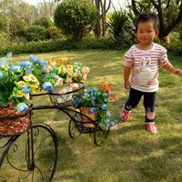 陈明晨
