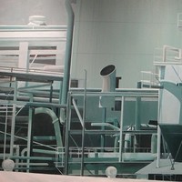 Elizabeth Janis Sweeney