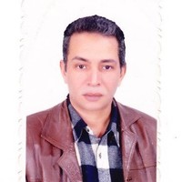 Magdy Hussein Hammed