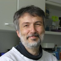 Dusan Turk