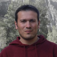 Marco Tacchi