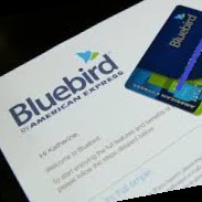 Blue Bird