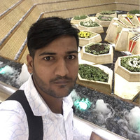 Parveen Kumar