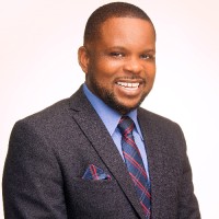David Okpara, BSc, ANIM, CISA, BDSP, ACTI, FCA