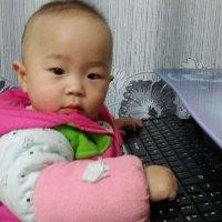 付子文