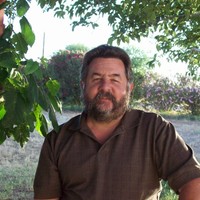 Robert Barone Barone