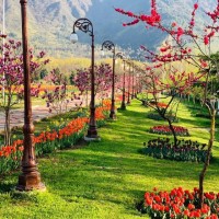 Priyaykanth P.