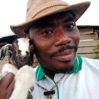 Lebeau Laurin Ngoy Mbaya