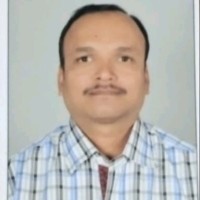 Vijay N. Kayasth