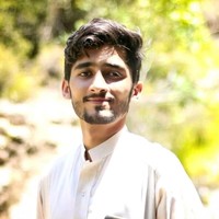 Syed Muhammad Hassan