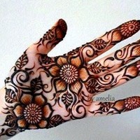 Nirsha Shafiq
