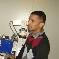 Rilond Pattia Matital