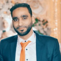 Amr Abd EL-Hamid