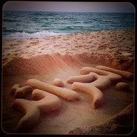 chegrouche taqieddine